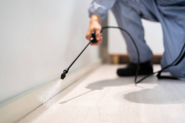 Licensed Pest Control service in Las Cruces, NM - Show Me Pest Control